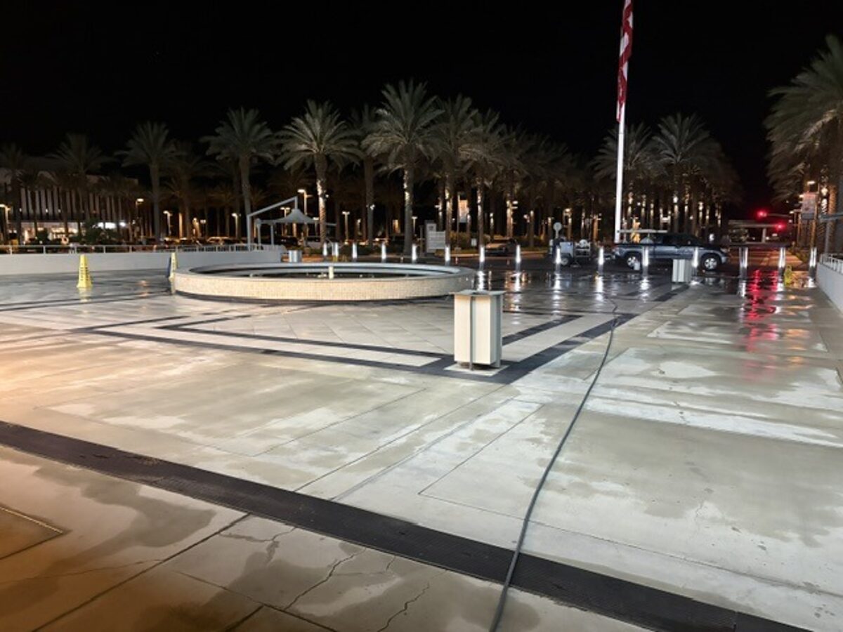 Night plaza after pressure washing, palms and wet concrete