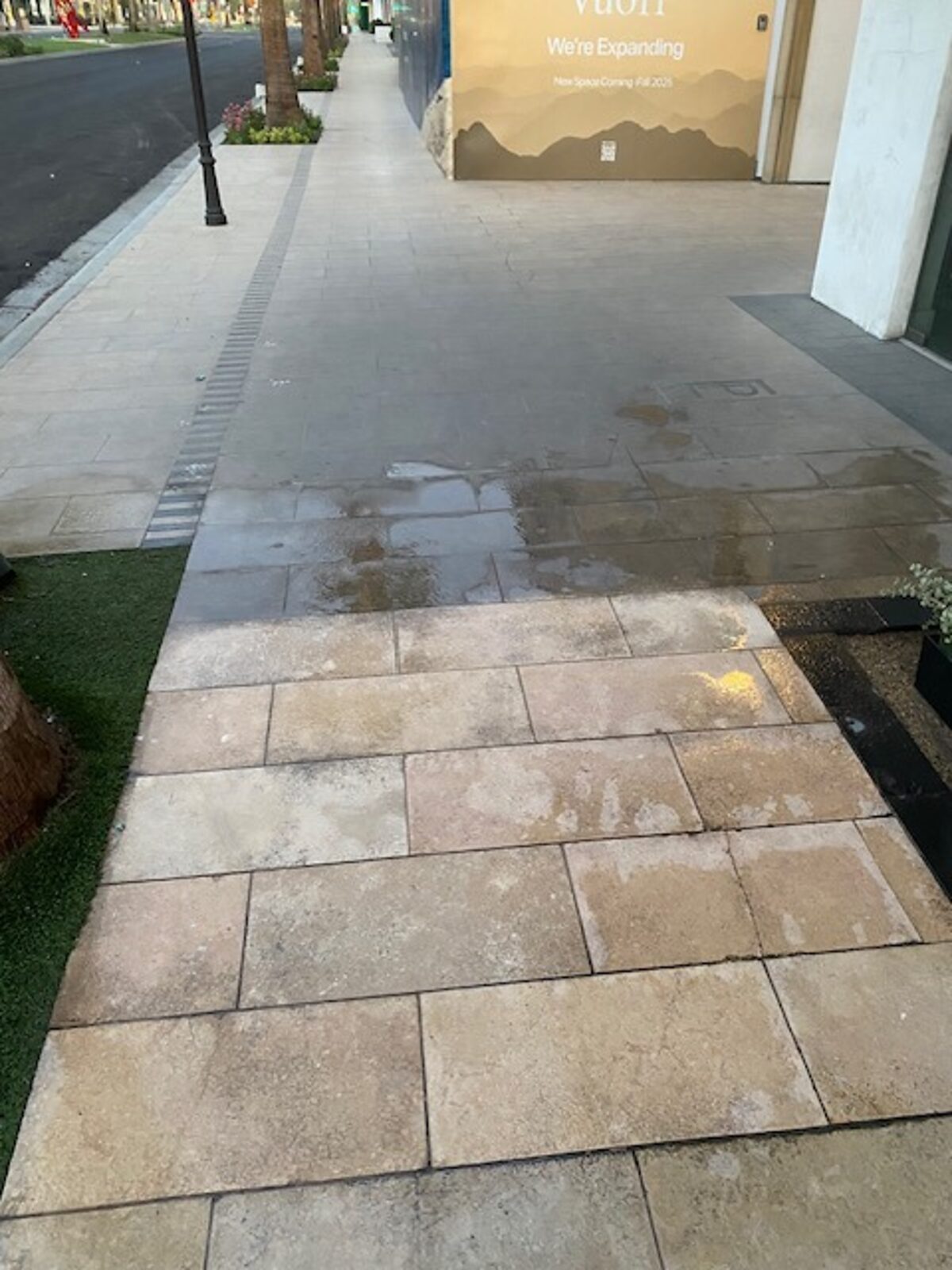 Wet sidewalk pavers after a wash